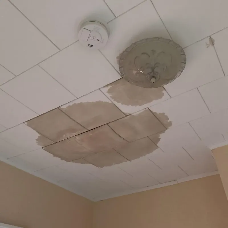 Ceiling Water Damage Repair in Santa Rosa, NM