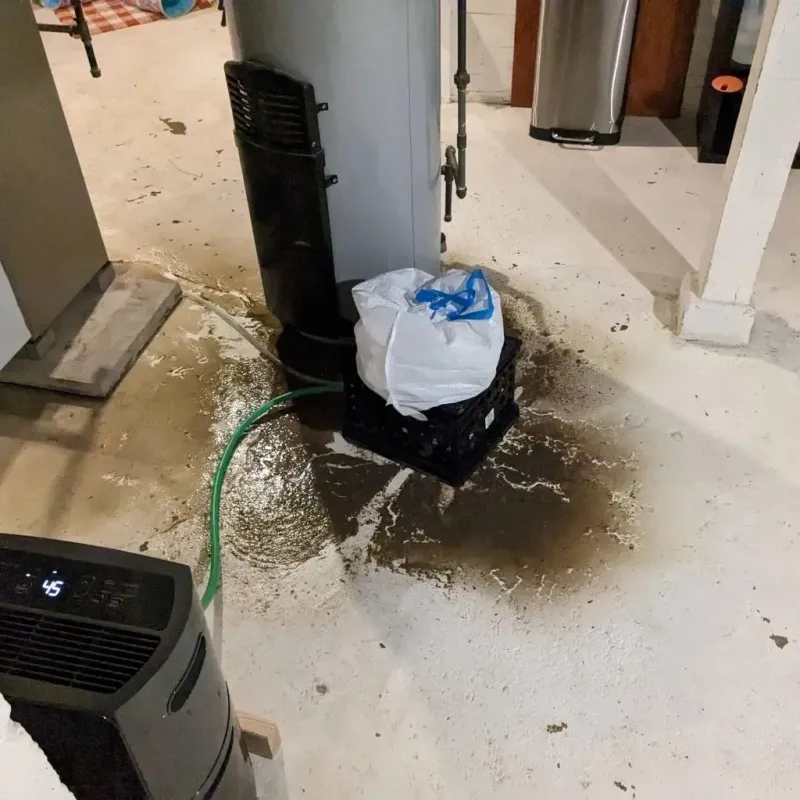Sewage Backup Cleanup Service in Santa Rosa, NM